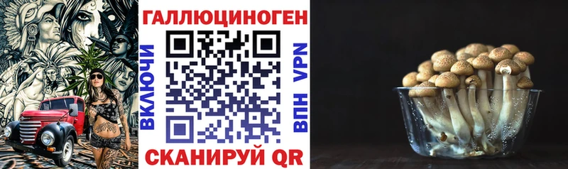 Галлюциногенные грибы Psilocybine cubensis  Верхняя Салда 